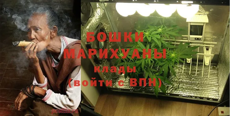 Бошки марихуана THC 21%  Венёв 